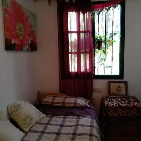 El Palacete 2 *